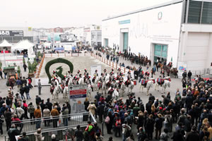 Mounted Band